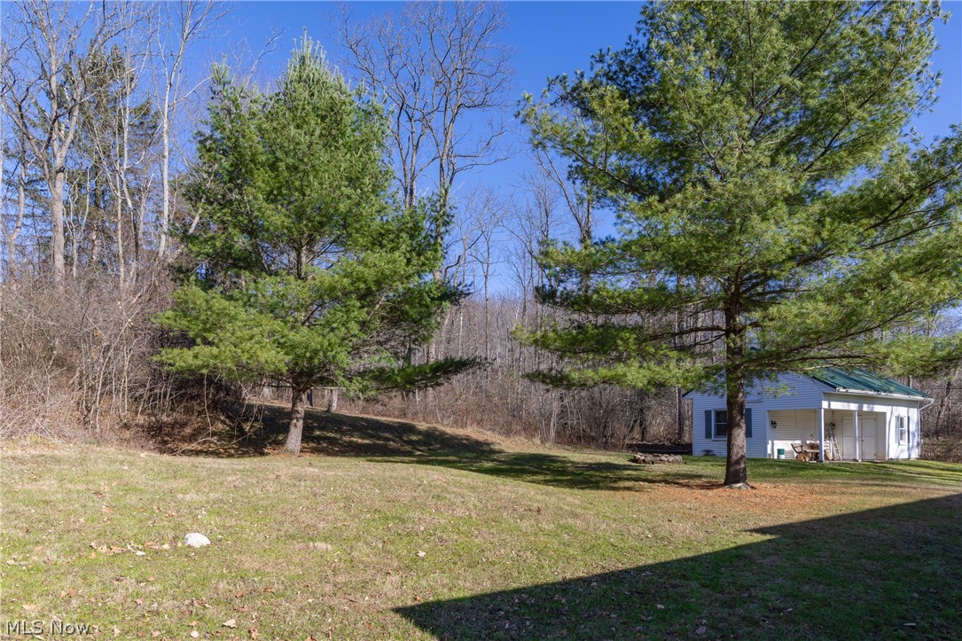 Copes Allotment 01 - Residential