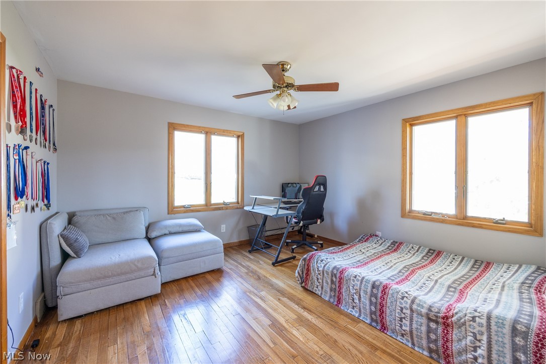 Copes Allotment 01 - Residential