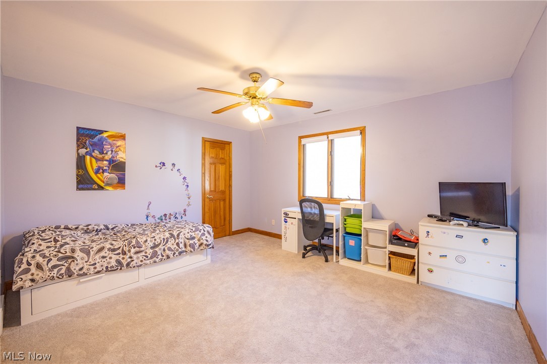 Copes Allotment 01 - Residential