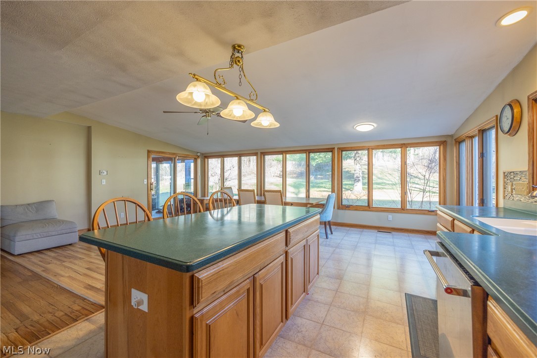 Copes Allotment 01 - Residential