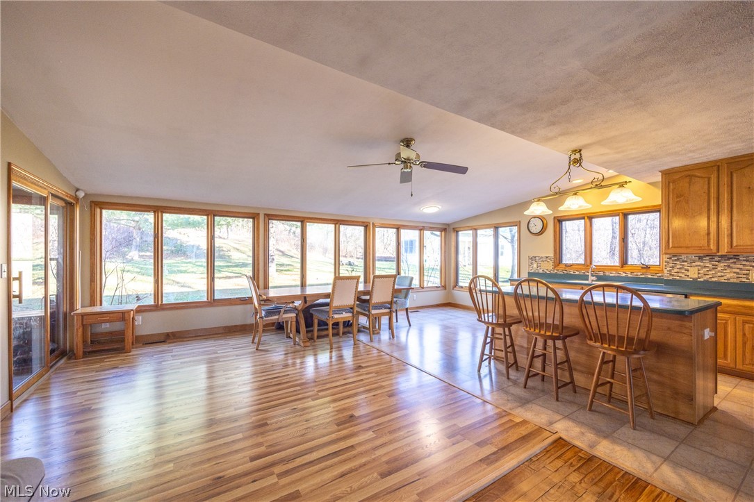 Copes Allotment 01 - Residential