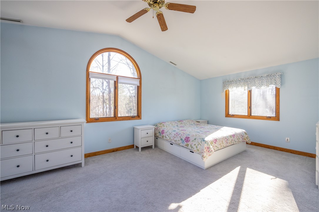 Copes Allotment 01 - Residential