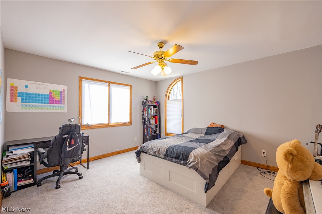 Copes Allotment 01 - Residential