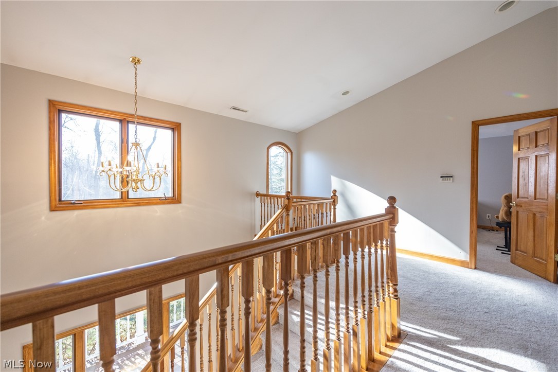 Copes Allotment 01 - Residential