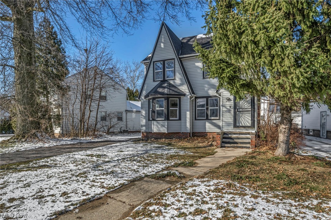 Cleveland Heights Blvd - Residential