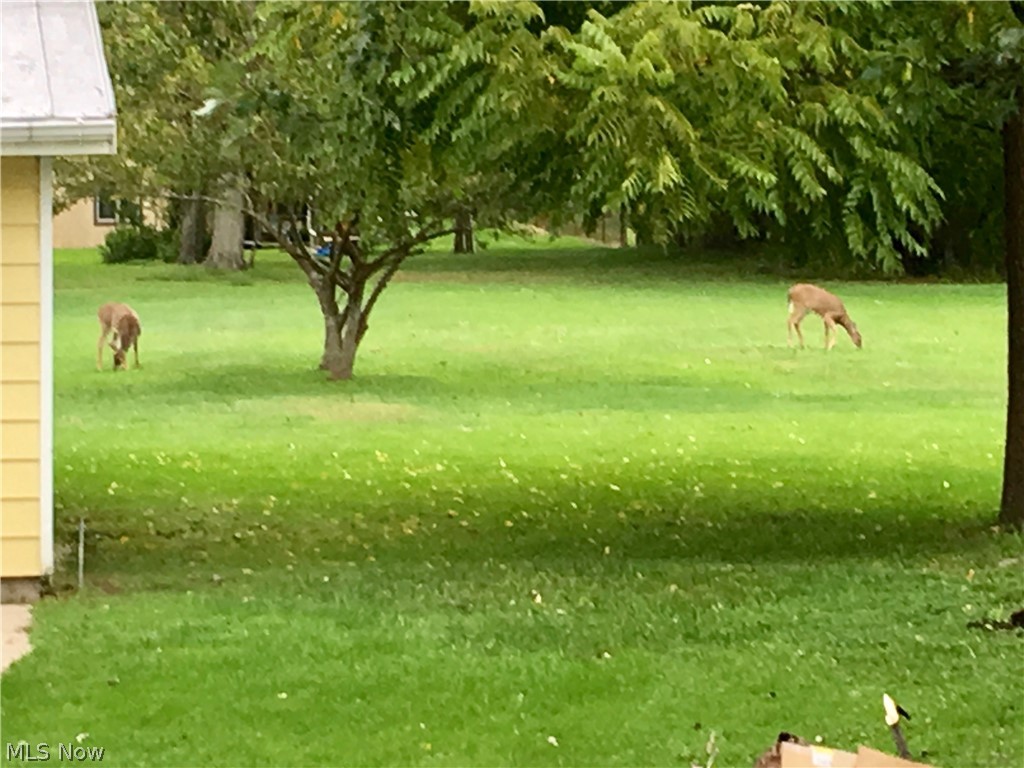 Neva Development Company's Sub - Residential