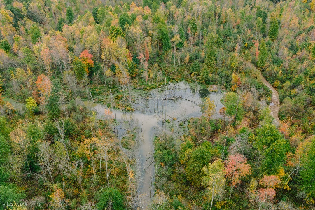 Township/Milton - Land