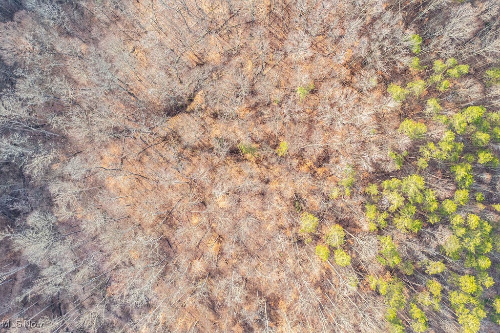 Acre Putnam Davis Estate - Residential