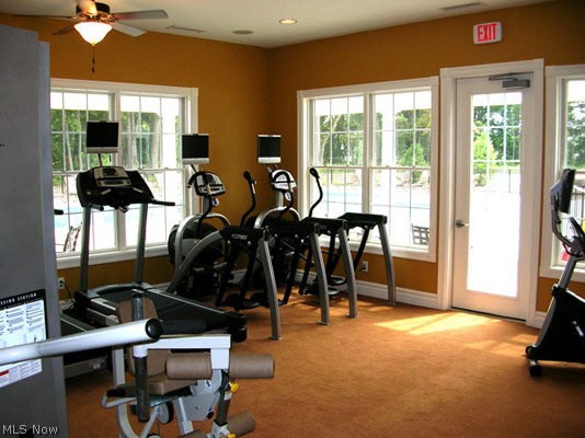 CARMEL@ STONEBRIDGE - Residential