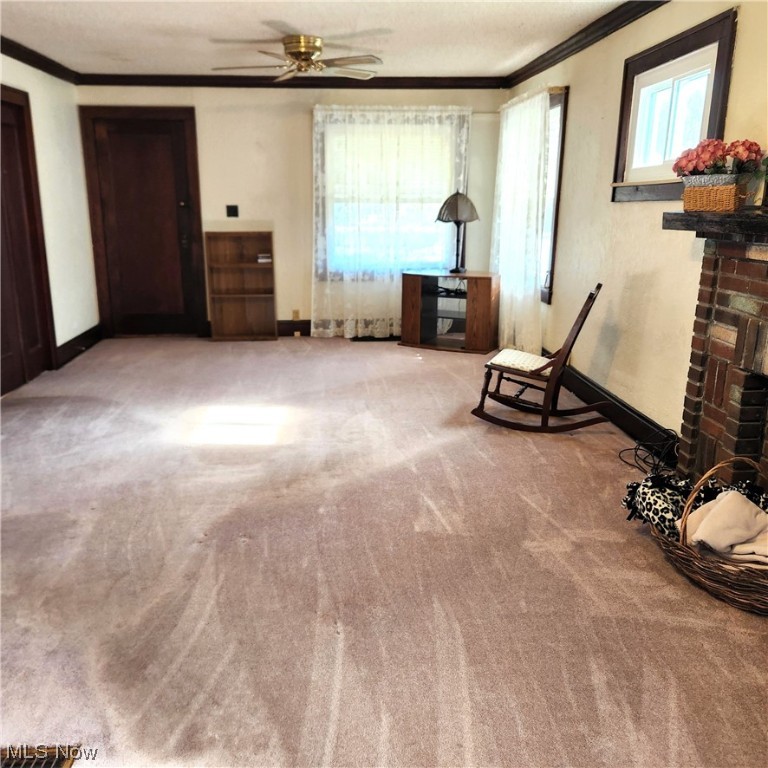 Willowick Park Allotment - Residential