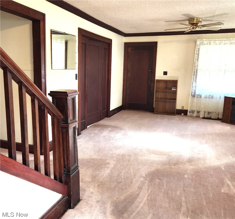 Willowick Park Allotment - Residential