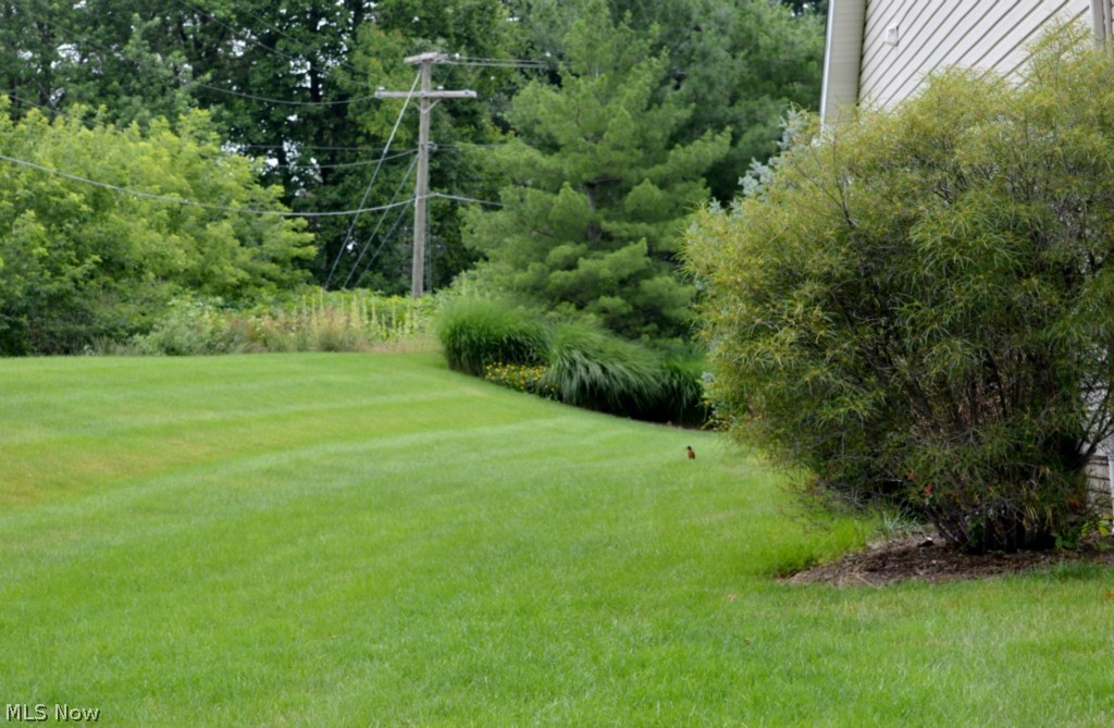 Preserve Condo - Residential