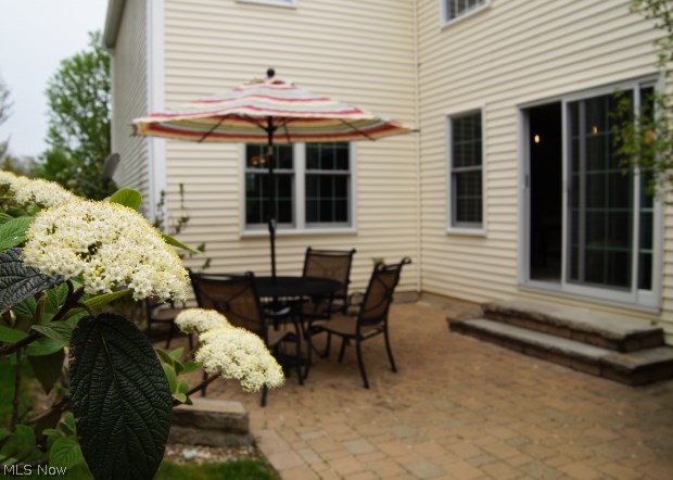 Chapman Grove Clstr Hm East - Residential