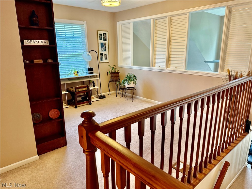 Steeple Run/Arbor Hills - Residential