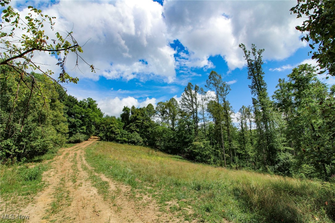 Groves Hill Road, Caldwell, Ohio image 13