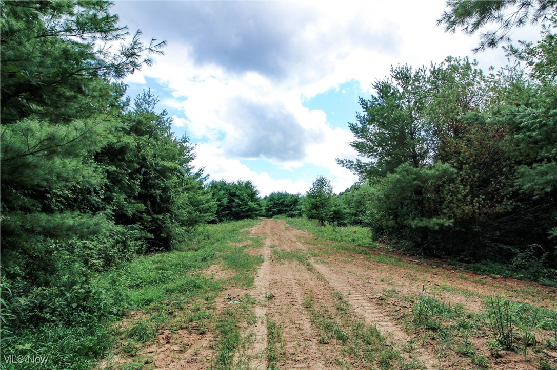 Groves Hill Road, Caldwell, Ohio image 3