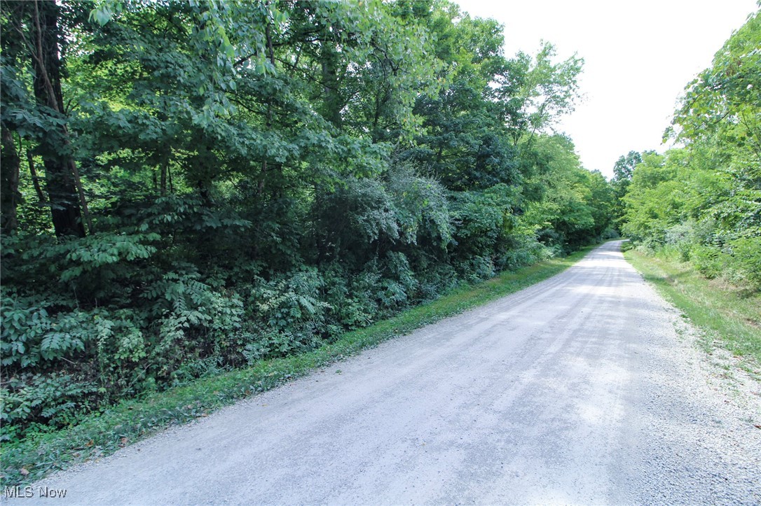 Groves Hill Road, Caldwell, Ohio image 15