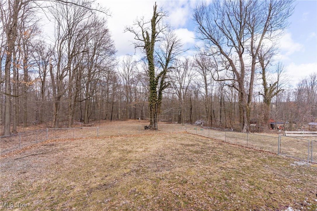 9182 Youngstown Salem Road, Canfield, Ohio image 42