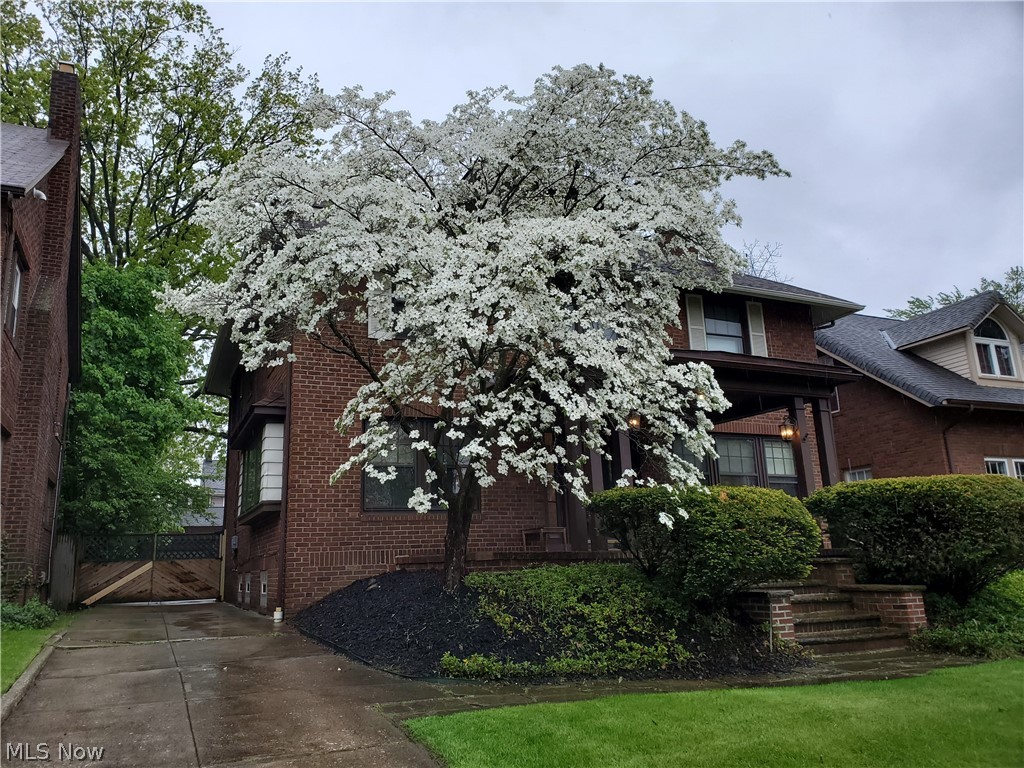 Forest Hill - Residential