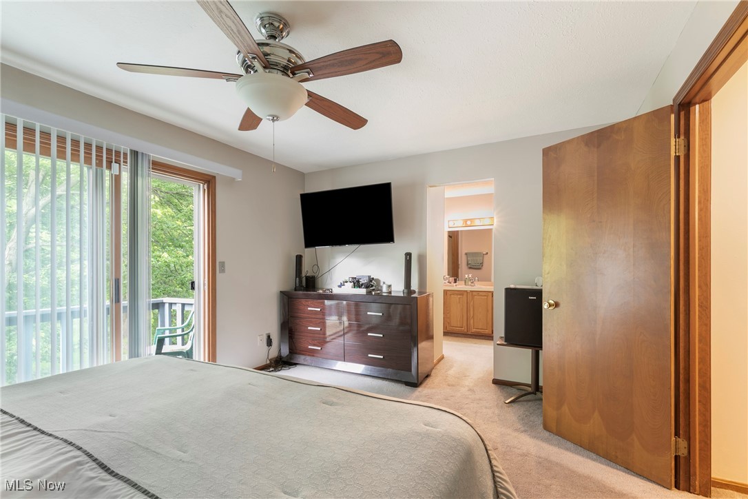 Celestia Drive - Residential