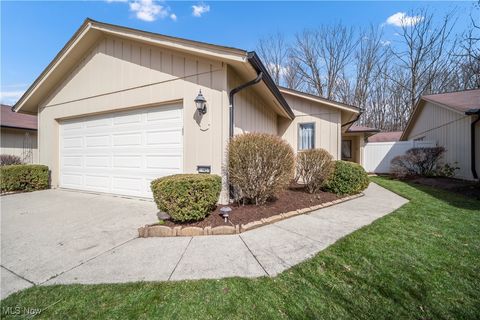 11427 Blodgett Creek Trail, Strongsville, OH 44149 - #: 5108369