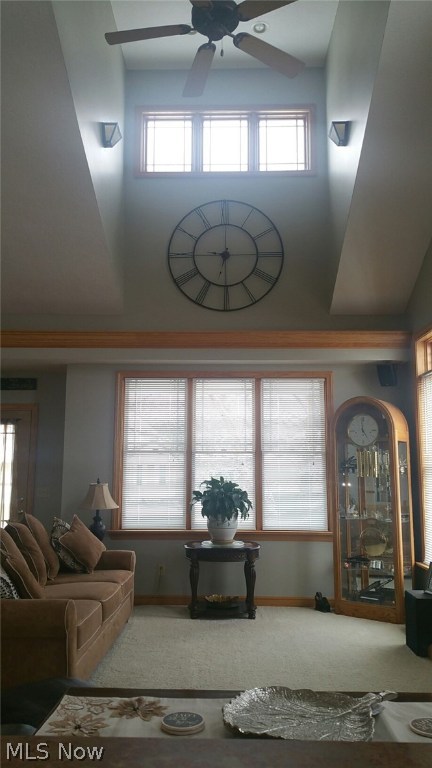 Mill Run - Residential