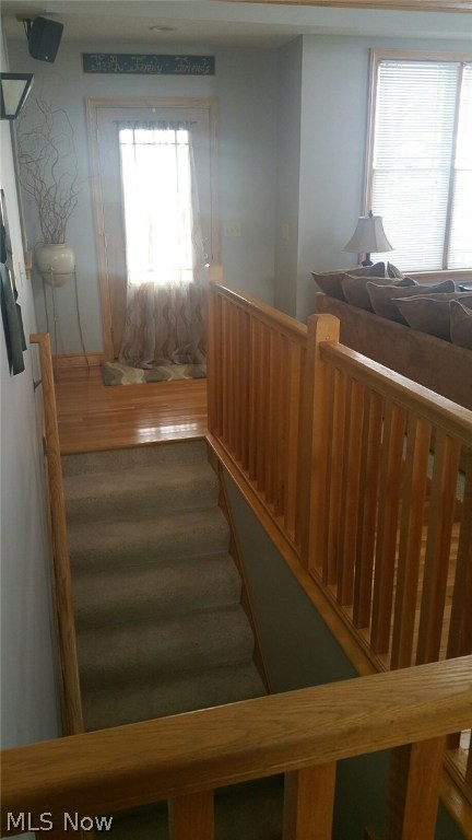 Mill Run - Residential