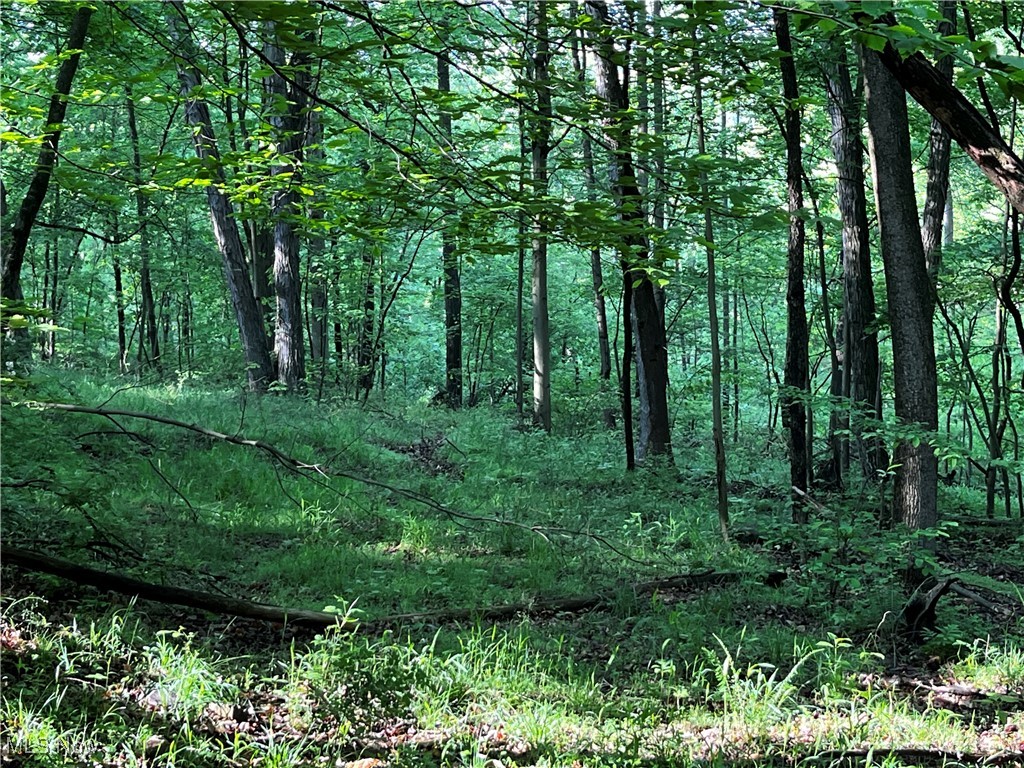 County Road 132, Killbuck, Ohio image 8