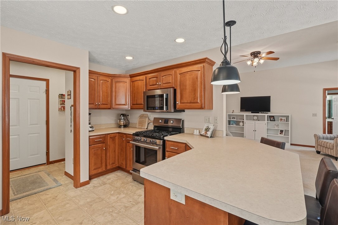 Ashton Village Allotment - Residential