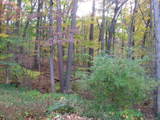 North Portage Path Condo - Residential