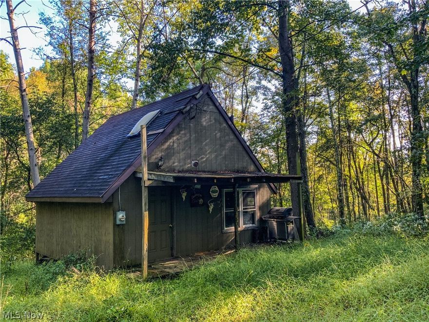 22 acres of land for sale in Belmont County. This property is located in Flushing township, in North Western Belmont County. The cabin is perfectly located in a quiet, secluded setting, and would be perfect for the hunting enthusiast or family getaway.