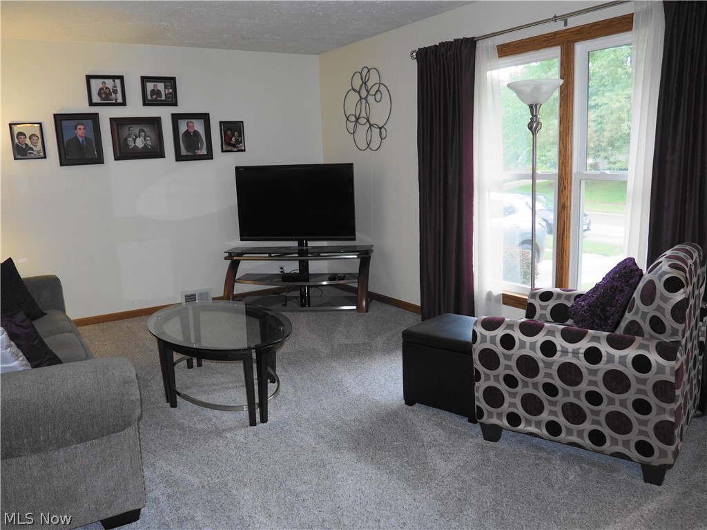 Lions Pk - Residential