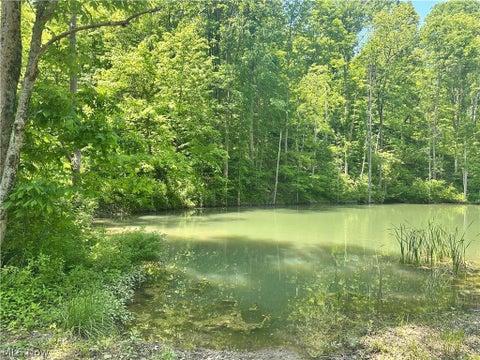 Tiny photo for 1 Morton Hill Road, Stafford, OH 43786 (MLS # 5225716)