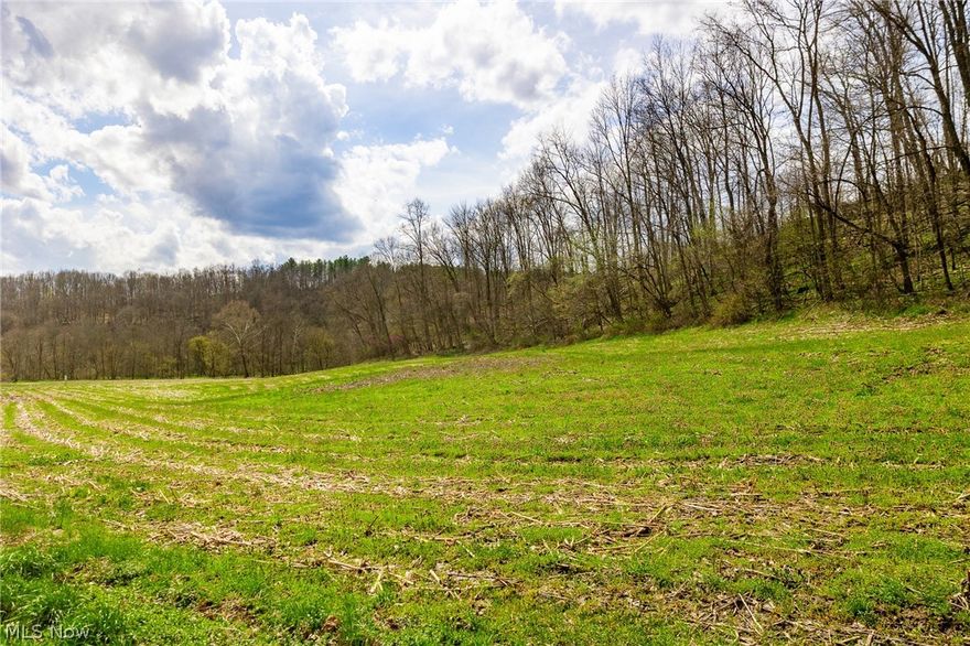 Onsite auction Friday, May 8th at 12:00 PM. Parcel 5 is 14 acres with over 2500’ on Townsend and Hill Rd. This parcel has open farming areas, building spots, hunting areas and in general has a really wide range of options. This one could be the one you have been looking for.