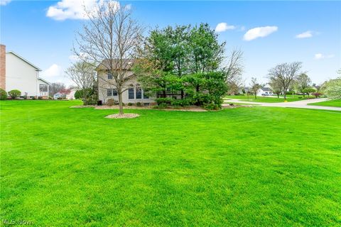 Tiny photo for 98 Jade Circle, Canfield, OH 44406 (MLS # 5203313)
