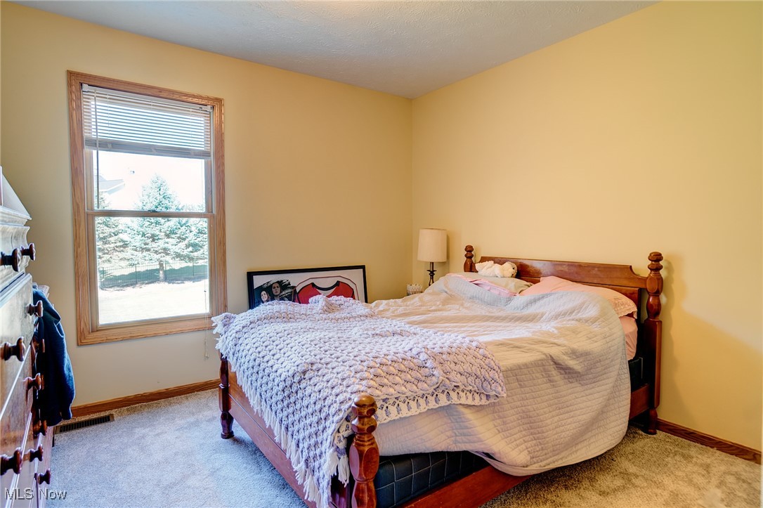 Meadows of Wintergreen - Residential