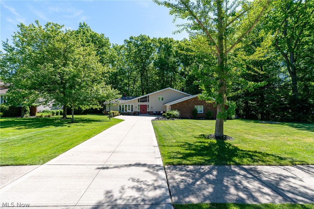 9124 Meadow Lane
