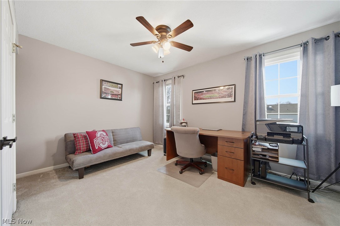 Georgehaven Allotment 03 - Residential