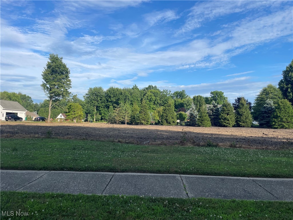 Looking for a beautiful lot to build your dream home? Stonegate has everything you need in a premier location. Check out Homesite #54 on a Cul-de-sac dead end street (Hideout Court). With sidewalks, beautiful homes and a great place to build...you need to take a look at this property!