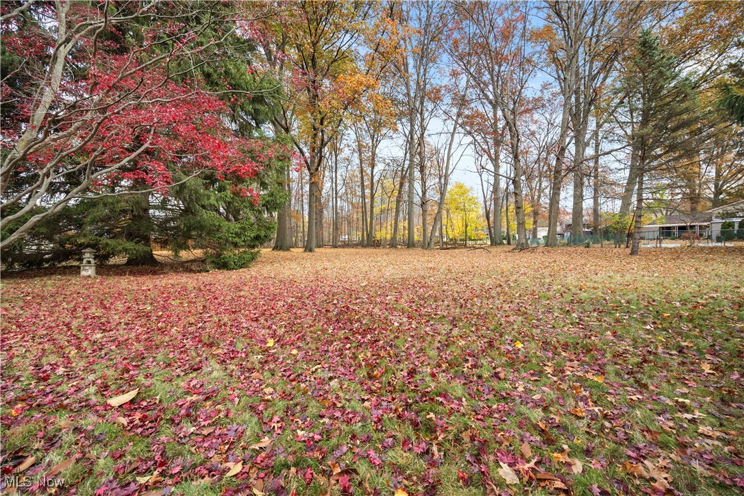 Porter Road Acre - Residential