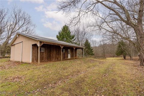 Tiny photo for 3709 S Union Avenue, Alliance, OH 44601 (MLS # 5177923)