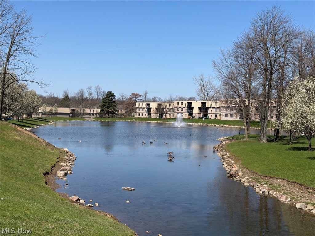 Sunrise Cove Condo - Residential