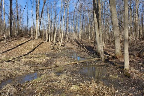 Tiny photo for 0 Chatham Road, Spencer, OH 44275 (MLS # 5188074)