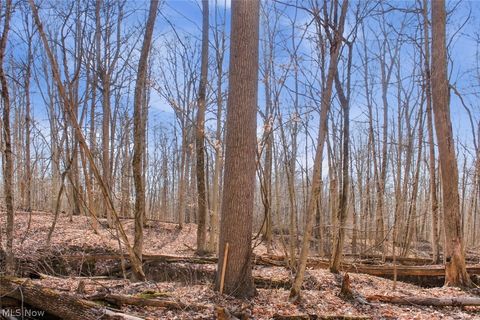 Tiny photo for 0 Chatham Road, Spencer, OH 44275 (MLS # 5188074)