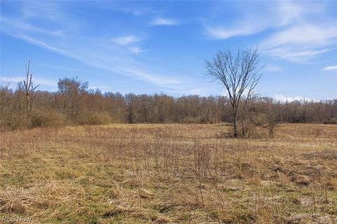 Tiny photo for 0 Chatham Road, Spencer, OH 44275 (MLS # 5188074)