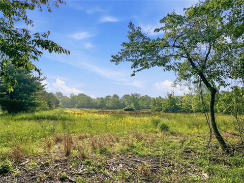 Tiny photo for 0 Chatham Road, Spencer, OH 44275 (MLS # 5188074)