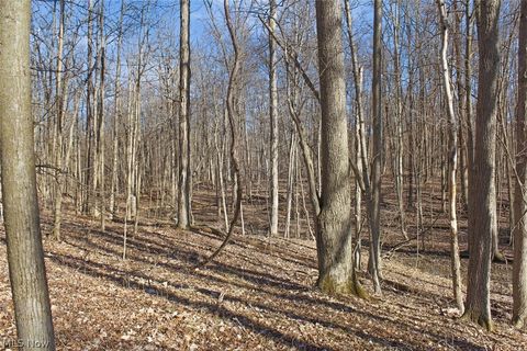 Tiny photo for 0 Chatham Road, Spencer, OH 44275 (MLS # 5188074)