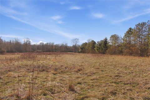 Tiny photo for 0 Chatham Road, Spencer, OH 44275 (MLS # 5188074)