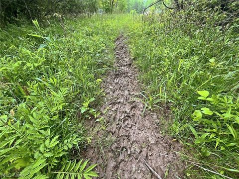 Tiny photo for 0 Chatham Road, Spencer, OH 44275 (MLS # 5188074)