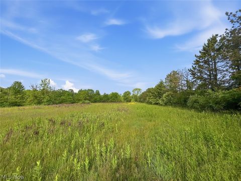 Tiny photo for 0 Chatham Road, Spencer, OH 44275 (MLS # 5188074)